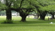 img0079.jpg
