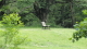 img0084.jpg