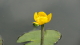 img0093.jpg