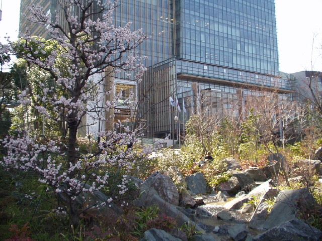 img0017.jpg