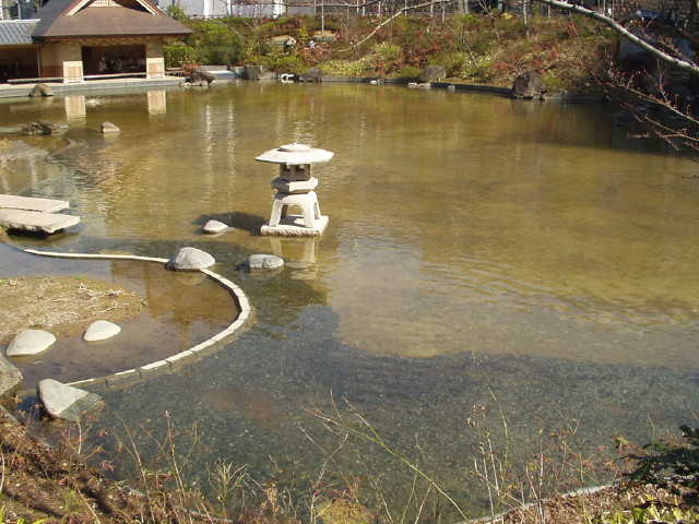img0029.jpg