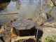 img0016.jpg