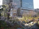 img0017.jpg