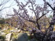 img0018.jpg