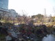 img0019.jpg