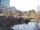 img0020.jpg