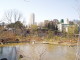 img0021.jpg