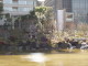 img0027.jpg