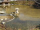 img0029.jpg