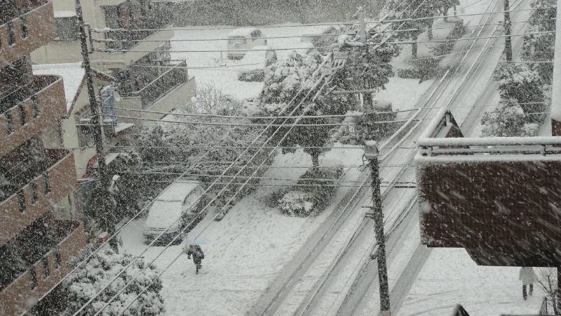 img0002.jpg