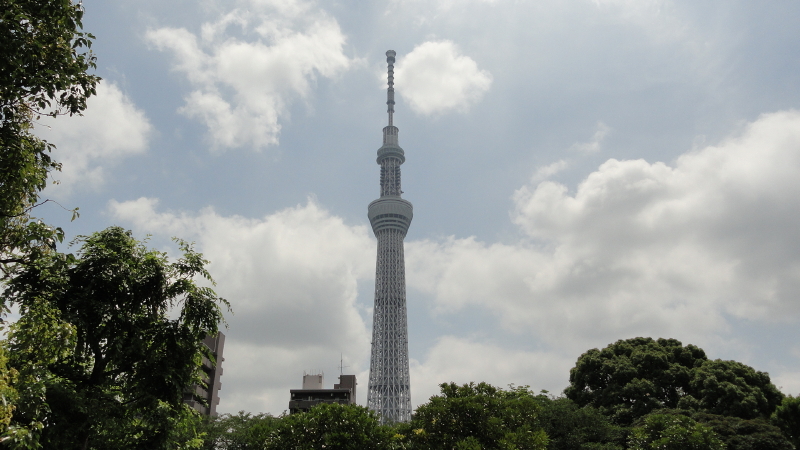 img0010.jpg