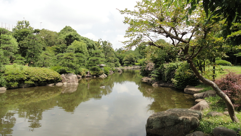 img0011.jpg