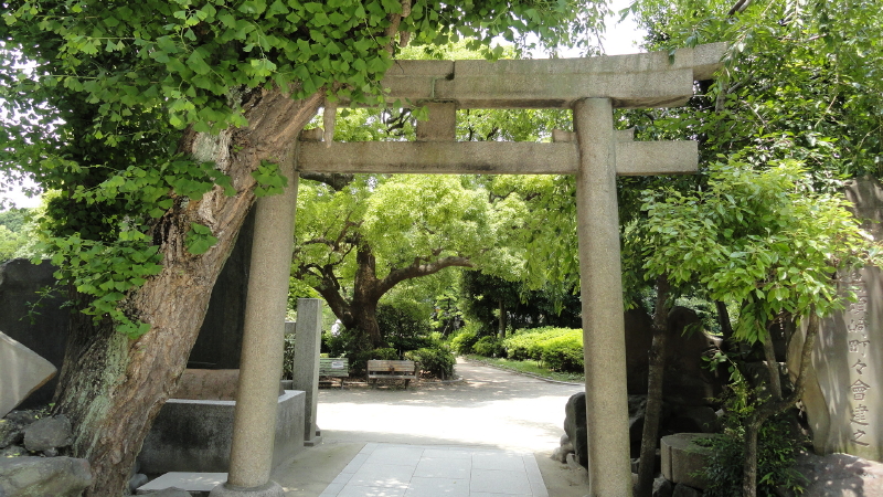 img0014.jpg