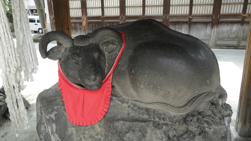 img0015.jpg