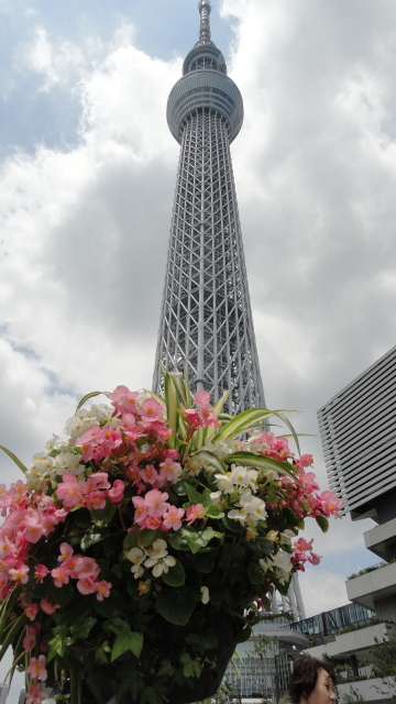 img0025.jpg