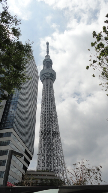 img0031.jpg