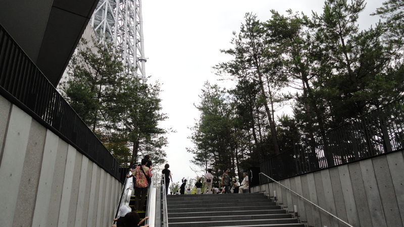 img0034.jpg