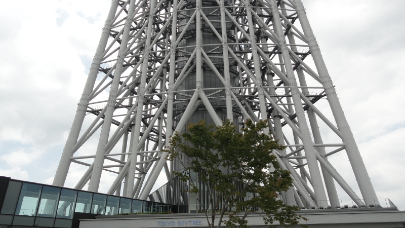 img0040.jpg