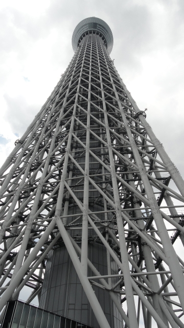 img0041.jpg