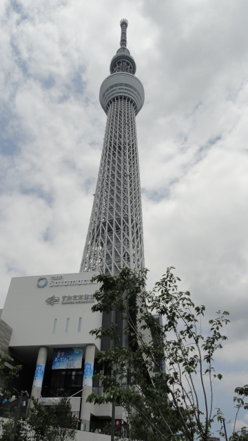 img0056.jpg