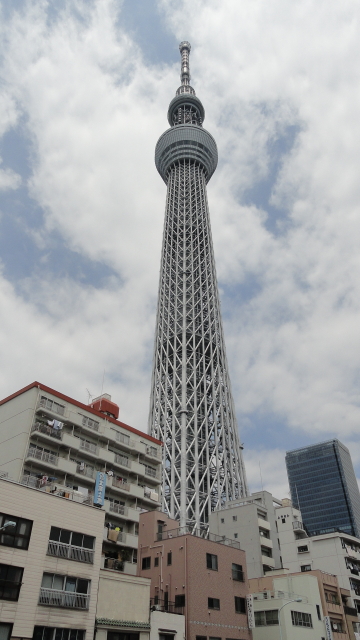 img0061.jpg