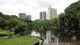 img0013.jpg