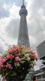 img0025.jpg