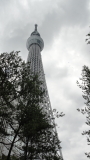 img0036.jpg