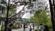 img0038.jpg