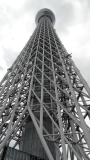 img0041.jpg