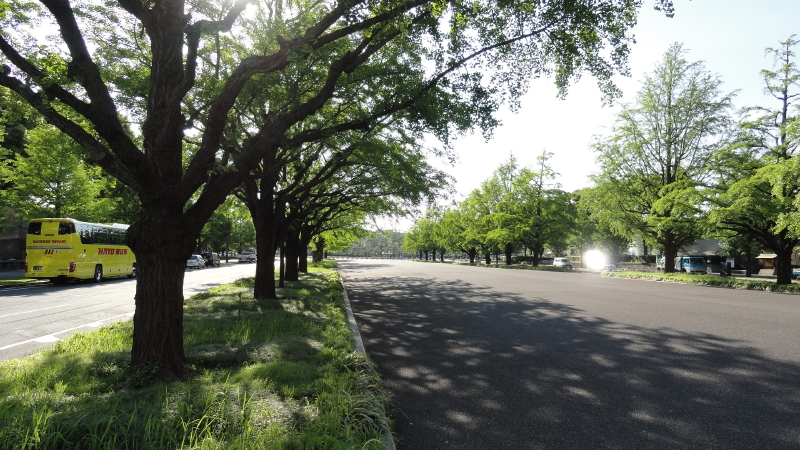 img0008.jpg