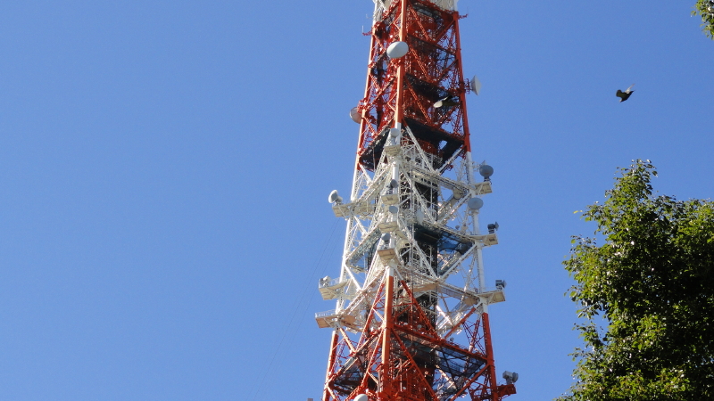 img0002.jpg