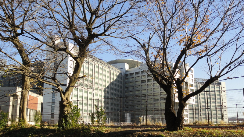 img0007.jpg