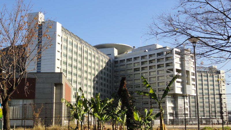 img0008.jpg