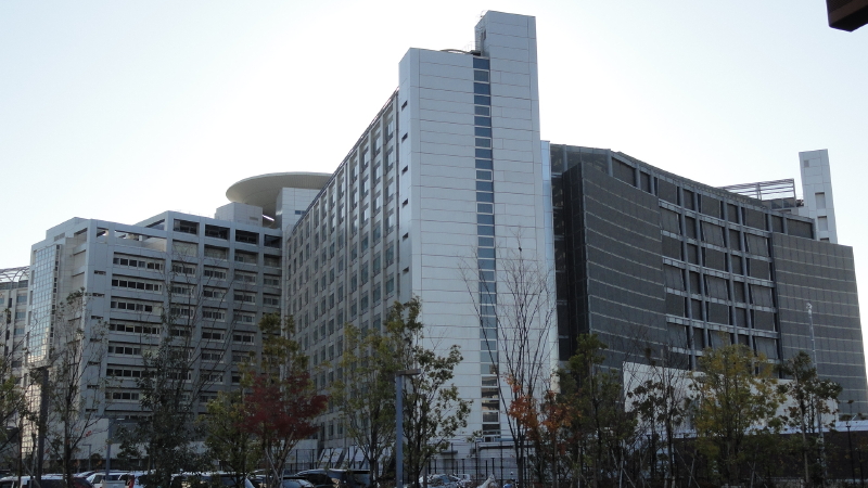 img0010.jpg