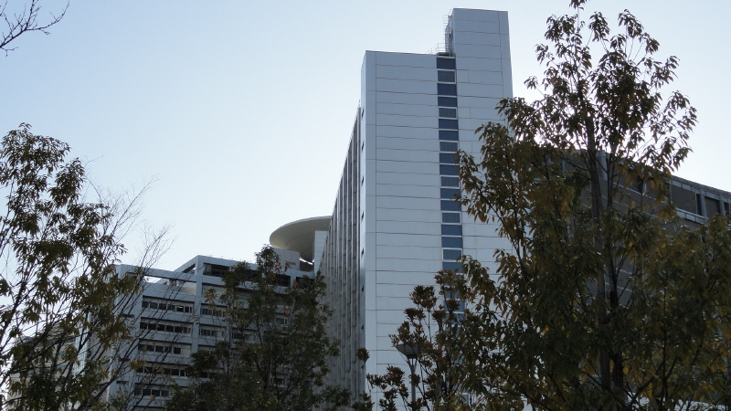 img0011.jpg