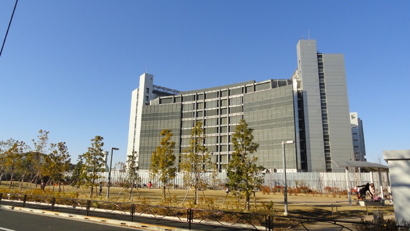 img0017.jpg