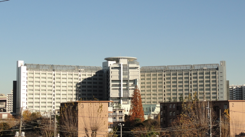 img0029.jpg