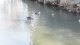 img0006.jpg