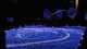 img0019.jpg