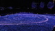 img0033.jpg