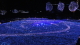 img0043.jpg