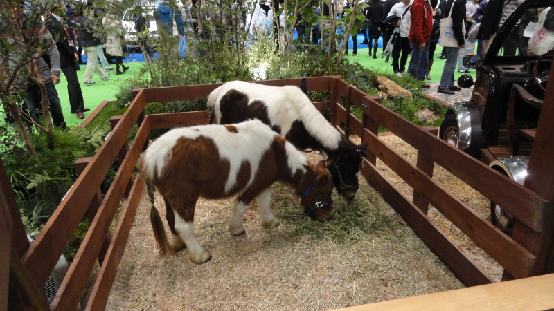 img0039.jpg