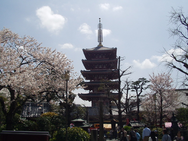 img0009.jpg