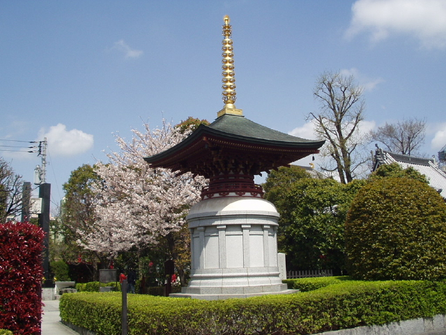 img0012.jpg