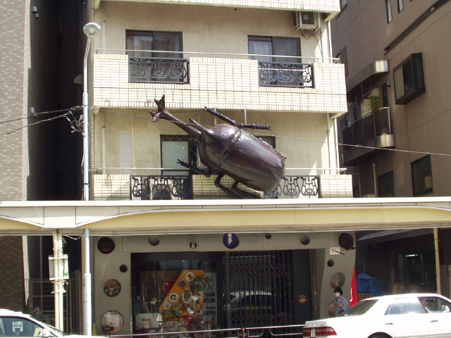img0013.jpg