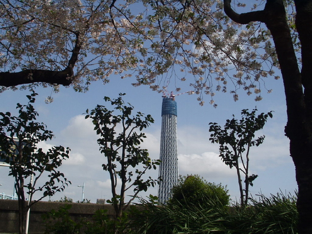 img0021.jpg