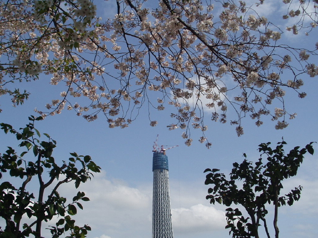 img0022.jpg