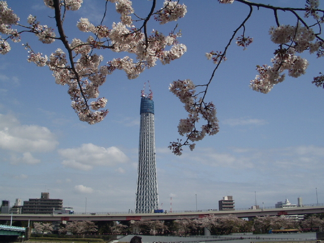 img0029.jpg