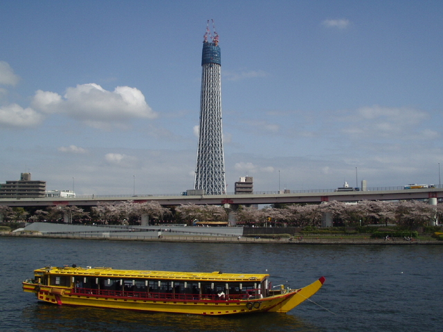 img0031.jpg
